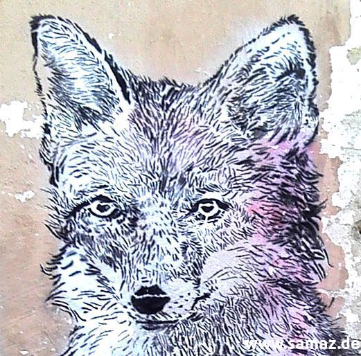 no_more_lies_fox_stencil_details