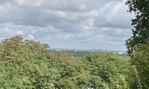 Ausblick vom Schnabelhuck