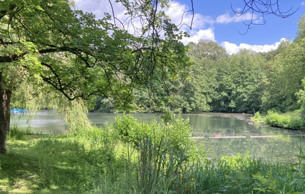 Blick auf den Teich im Fredenbergpark