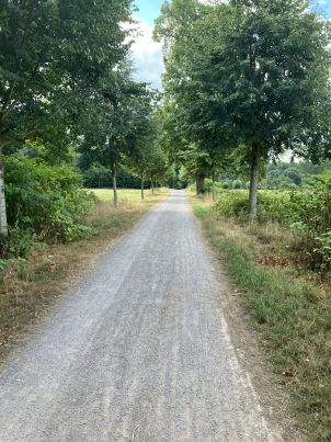Grüne Achse