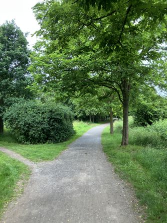 Grüne Wege führen zur Halde