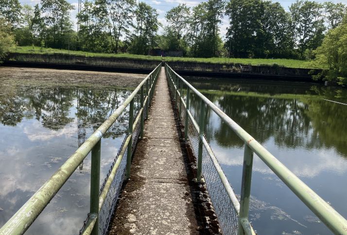 Ein schmaler Pfad mitten durch das ehemalige Klärbecken, Oberhausen