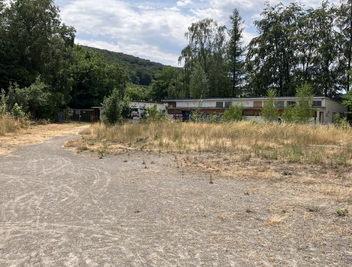 Verwilderte Klutert Kampfbahn Hagen