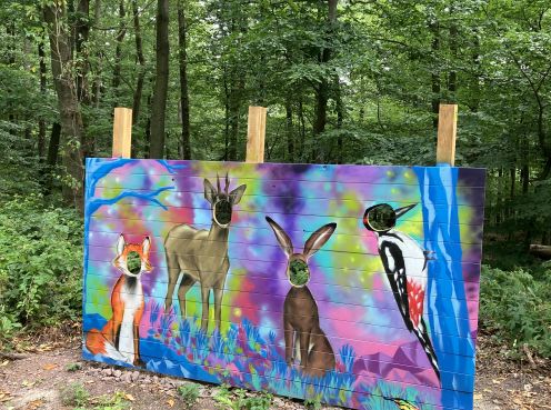 Foto Spot im Wald